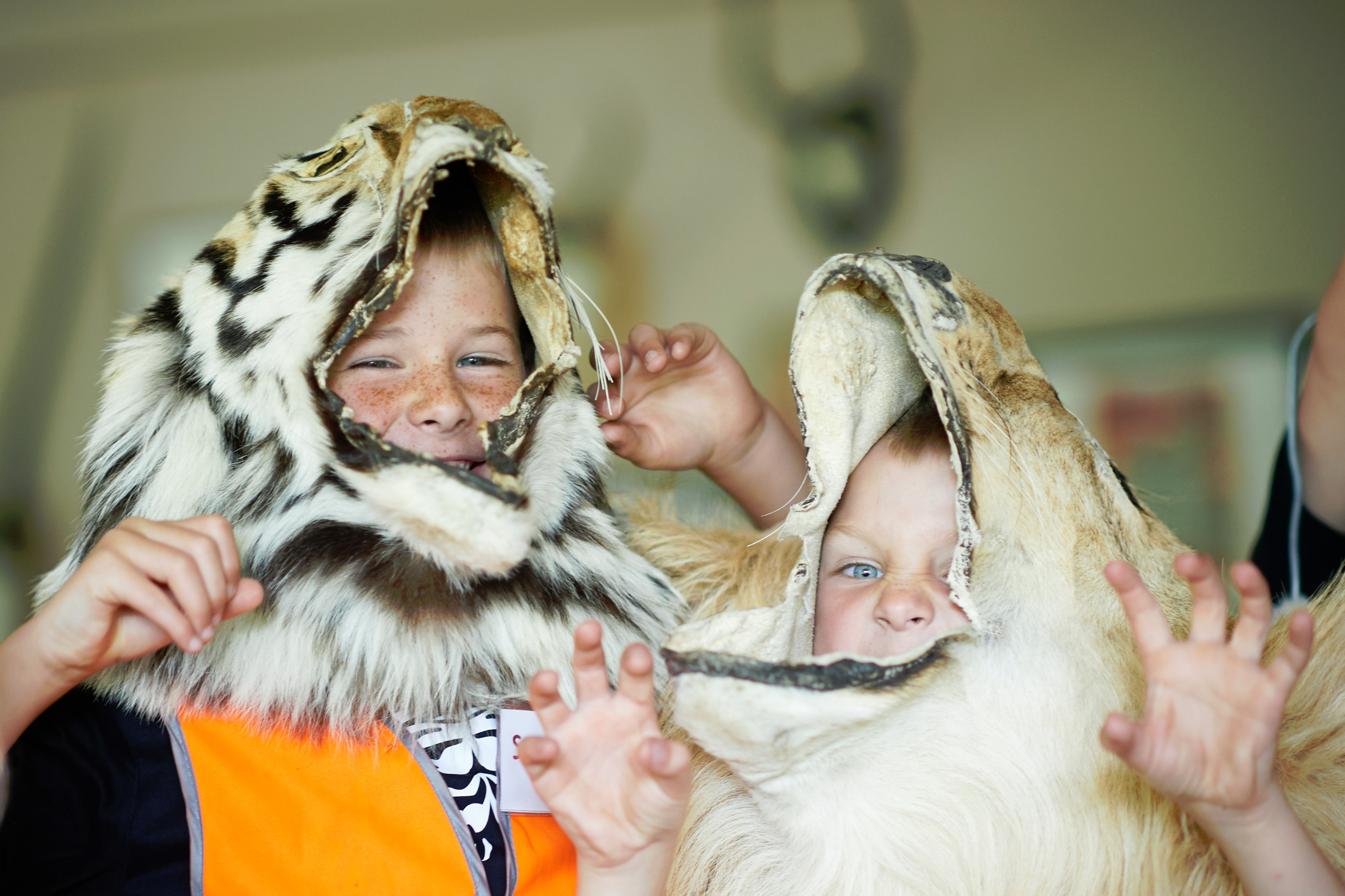 Elever på ZOOskole ZOOmmerskole i Odense ZOO klædt ud som løve og tiger