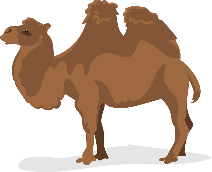 Kamel
