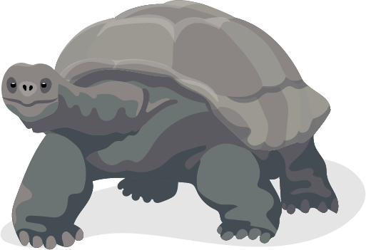 Kæmpeskildpadde