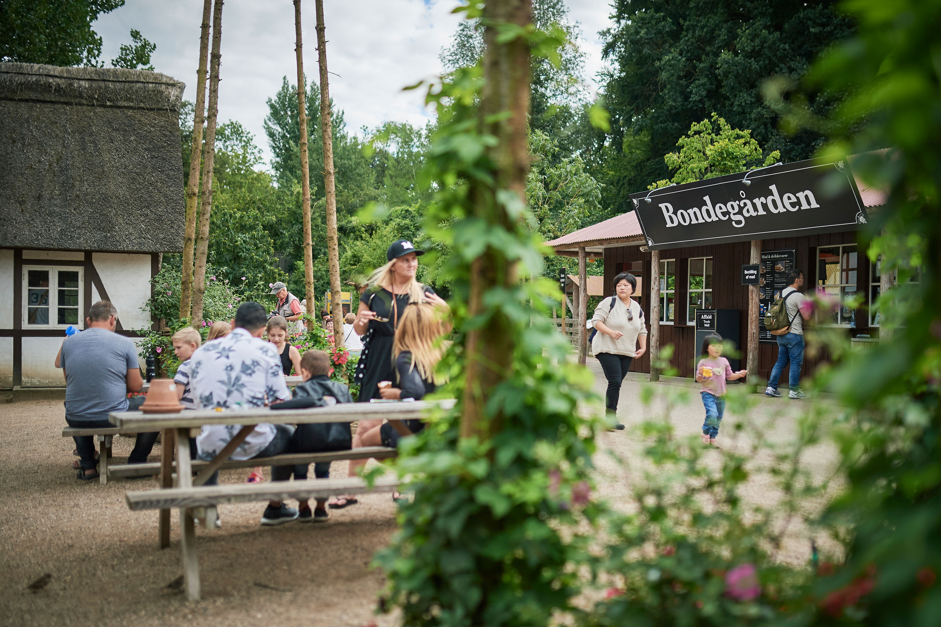 Bondegården i Odense ZOO is og fastfood