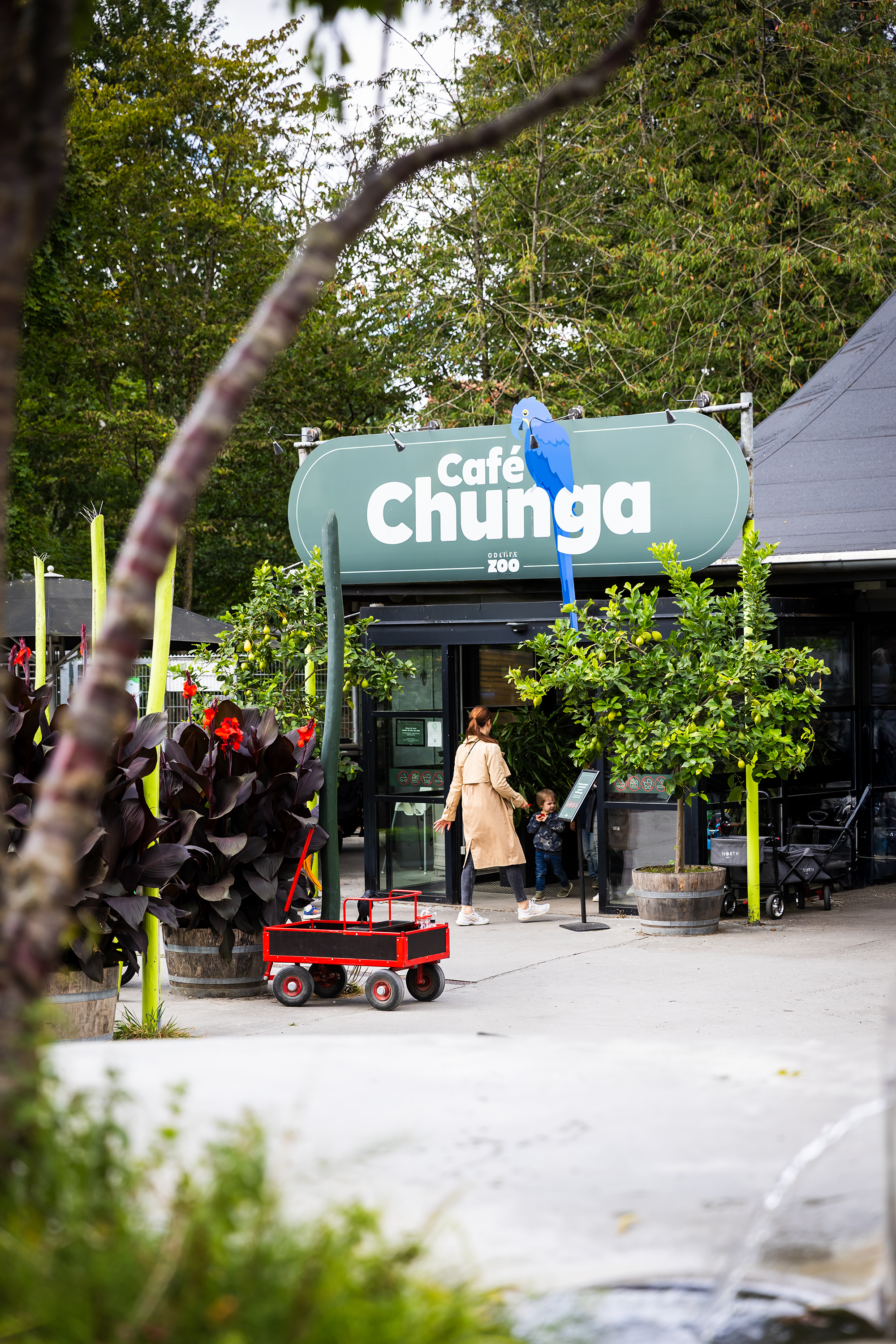 indgang til cafe chunga i odense zoo