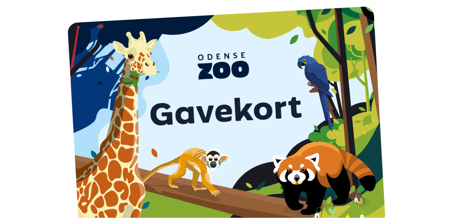 Gavekort Odense ZOO illustration