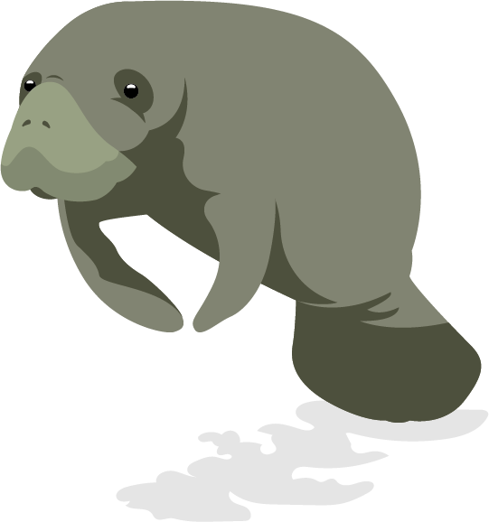 Søko