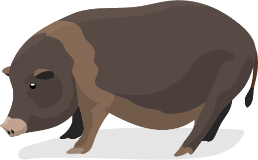 Minigris