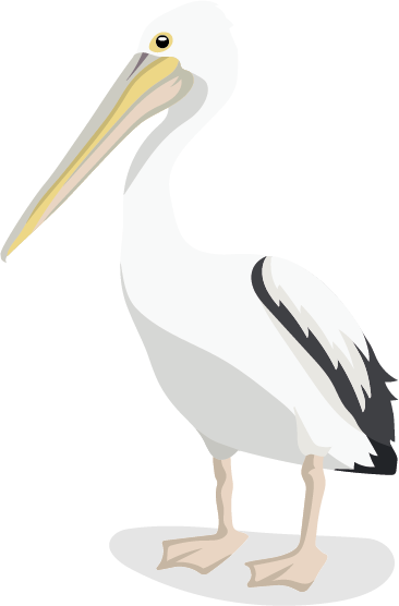 Pelikan