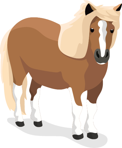 Shetlandspony