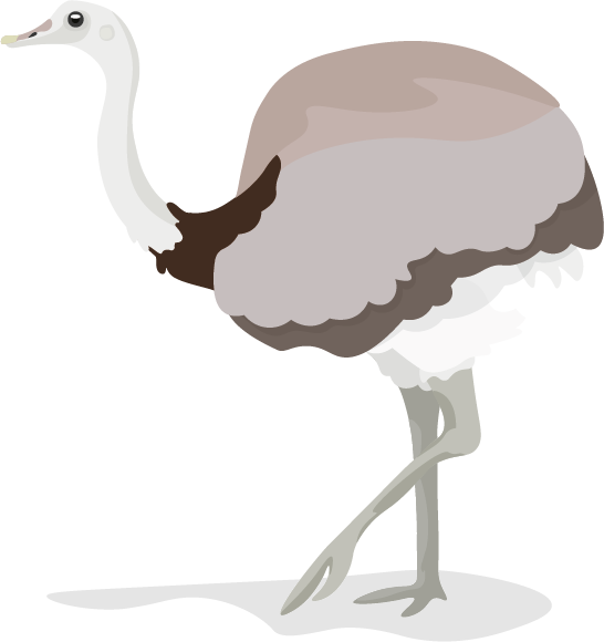 Nandu